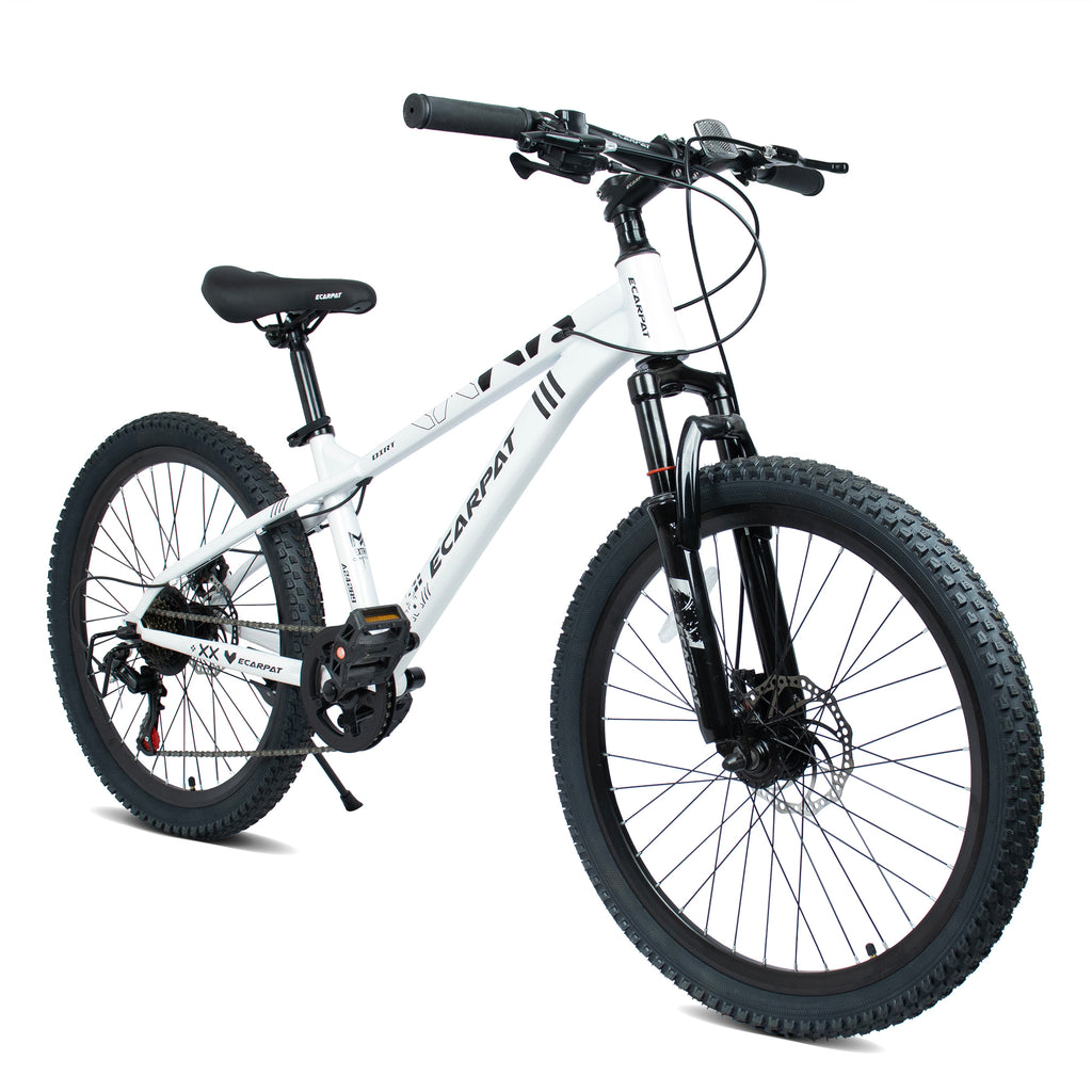 A24289 ECARPAT 24 Inch 21 Speed Mountain Bike, Adult Mountain Bicycle with Front Suspension, Dual Disc Brakes, Steel Frame, Non-Slip Tires for Men Women Outdoor Cycling