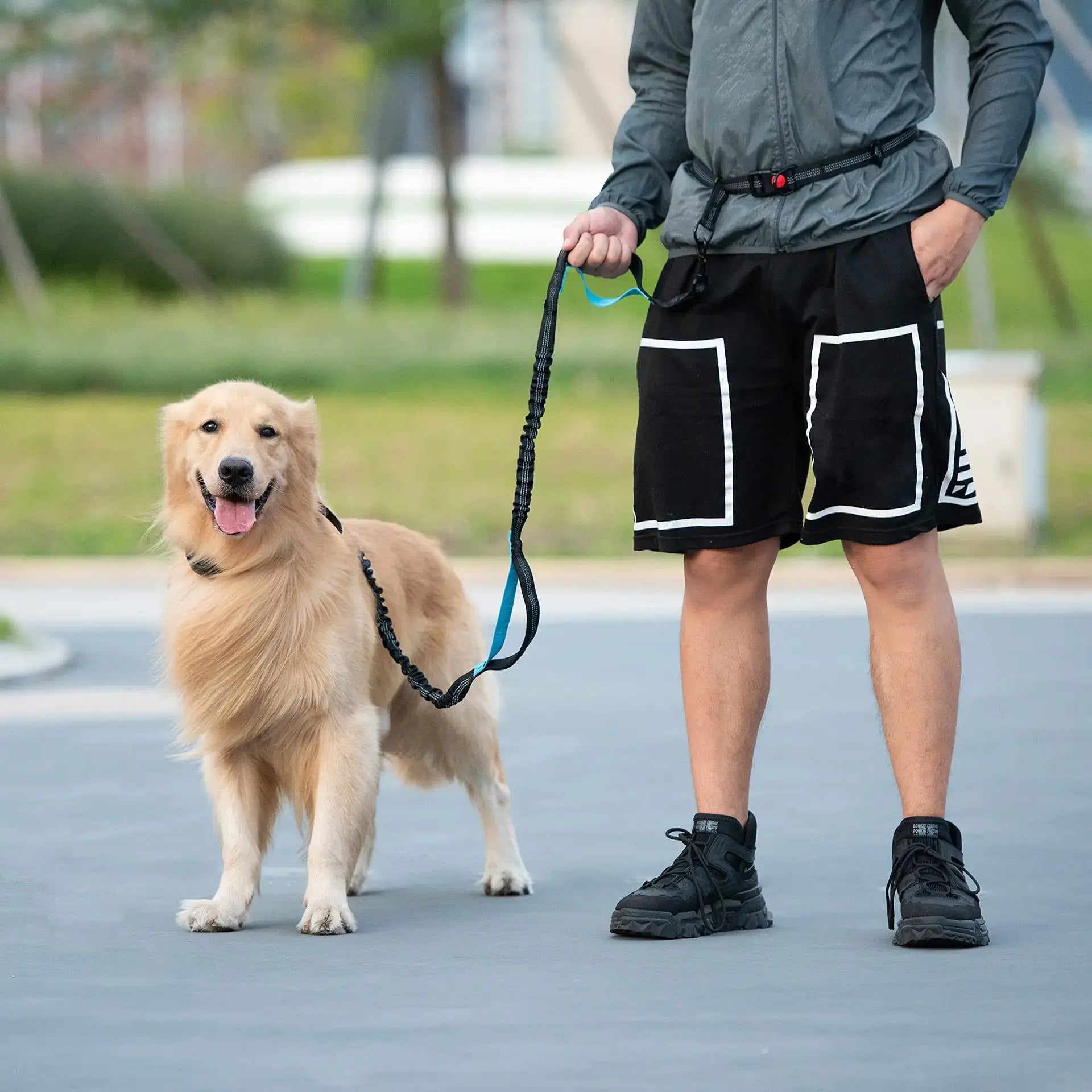 Canine Waist Pack - Eloy Royal