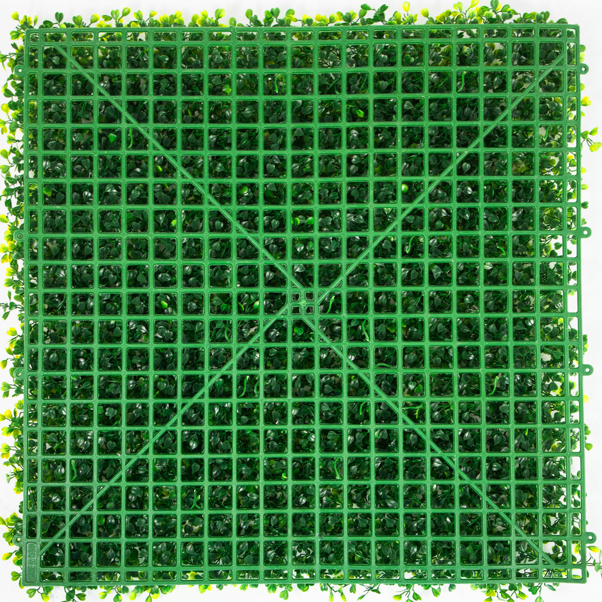 26549263