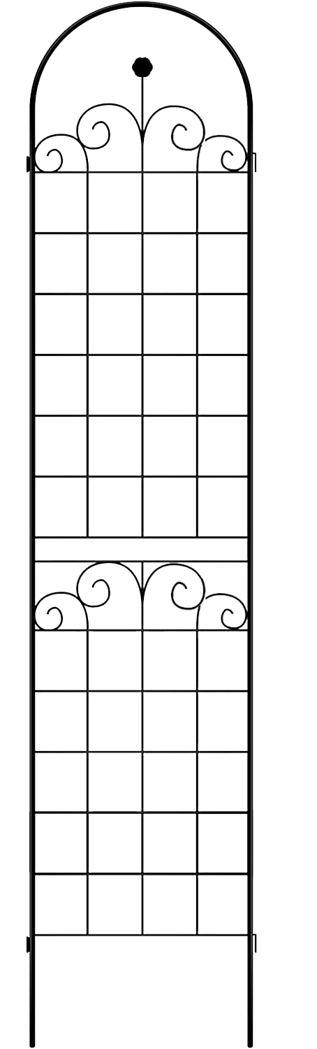 26544604