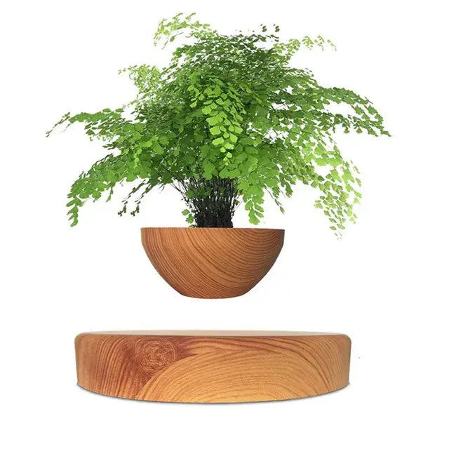 Levitating Air Bonsai Pot Rotation Flower Pot Planters Home Decor - Eloy Royal