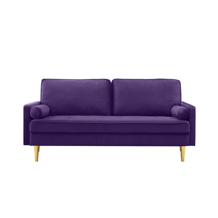 65-inch minimalist velvet sofa with metallic-coloured legs, complete with cushions, suitable for the living room or bedroom.