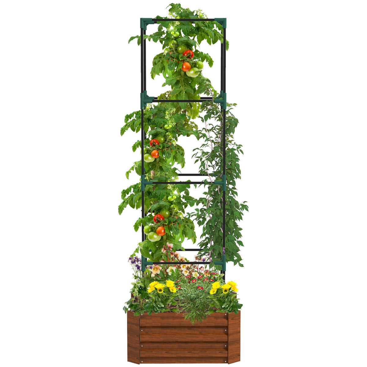 Outsunny Galvanized Raised Garden Bed, 24' x 24' x 11.75' Outdoor Planter Box with Trellis Tomato Cage and Open Bottom for Climbing Vines, Vegetables, Flowers in Backyard, Garden, Patio, Brown