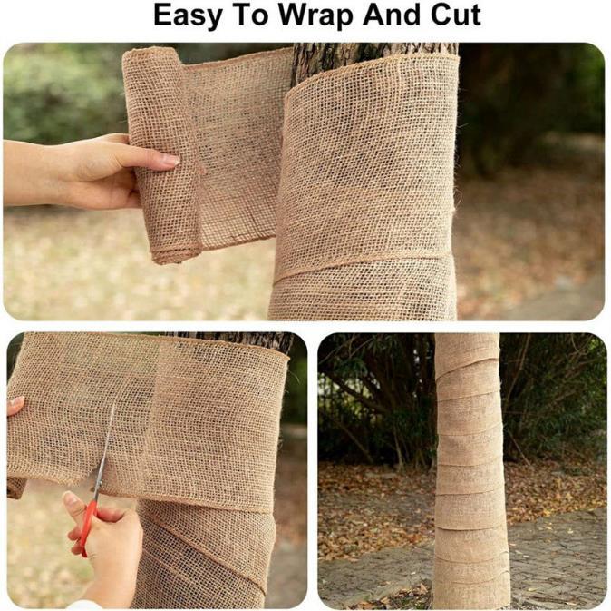 26547384