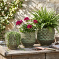 S/3 Textured Green Iron Planters with Tapered Bases
