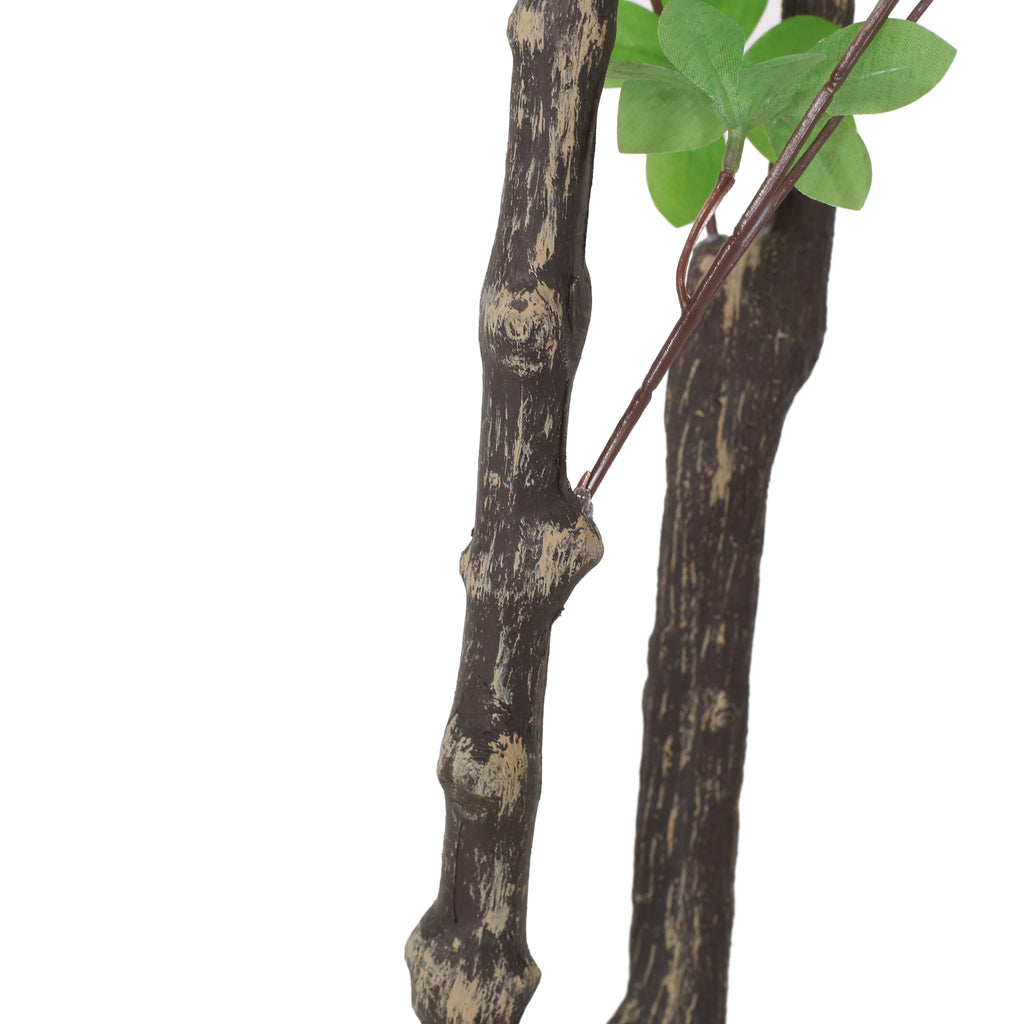 26281389