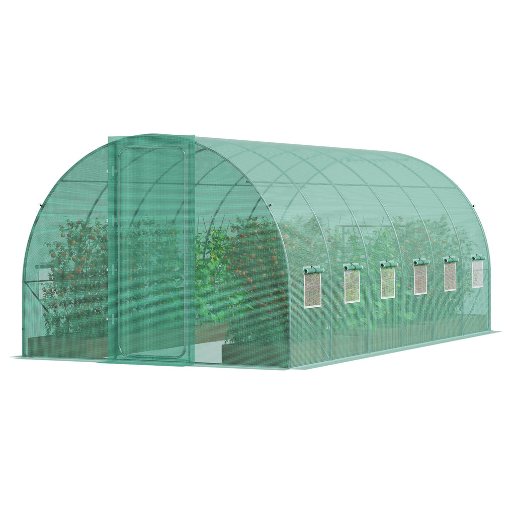 26546068