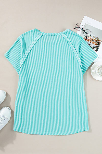 Light Blue Ribbed Exposed Seam Casual Plus Size T Shirt - Eloy Royal