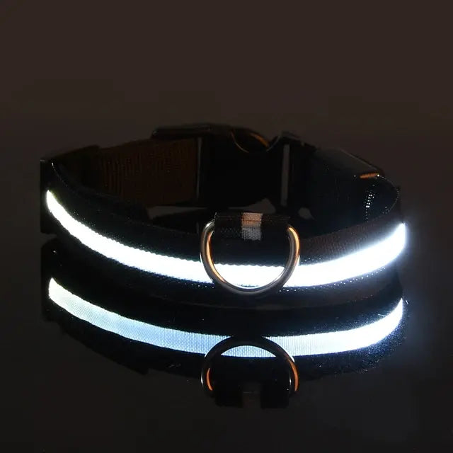 Flashing Glow Dog Collar - Eloy Royal