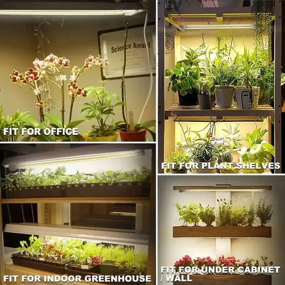 Led Grow Light For Plants - Eloy Royal