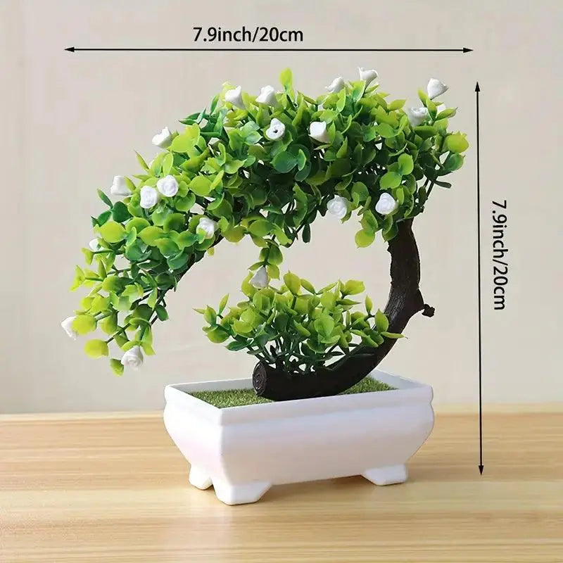 Small Bonsai Tree - Eloy Royal