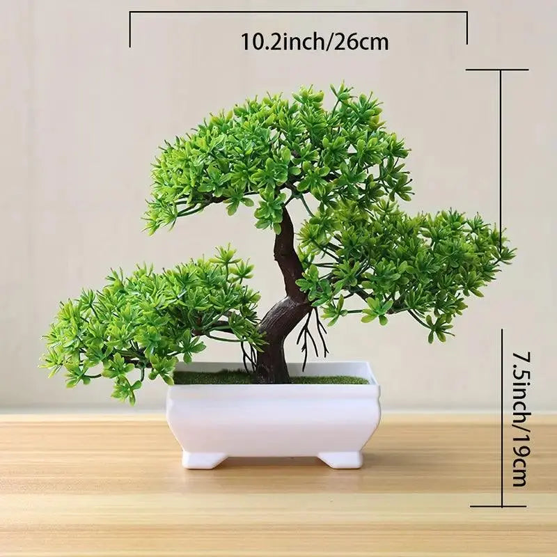 Small Bonsai Tree - Eloy Royal