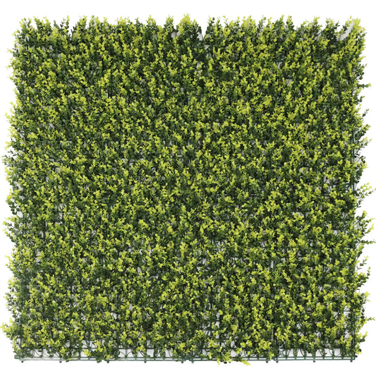 Yellow English Artificial Boxwood Wall 40" x 40" 11SQ FT UV Resistant