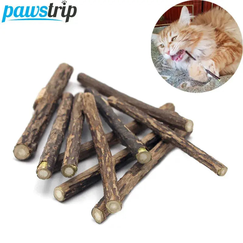 10/15/20pcs/lot Natural Matatabi Pet Cat Snacks Sticks Cleaning Tooth Catnip Cat Toys Actinidia Silvervine Pet Toy For Cats - Eloy Royal