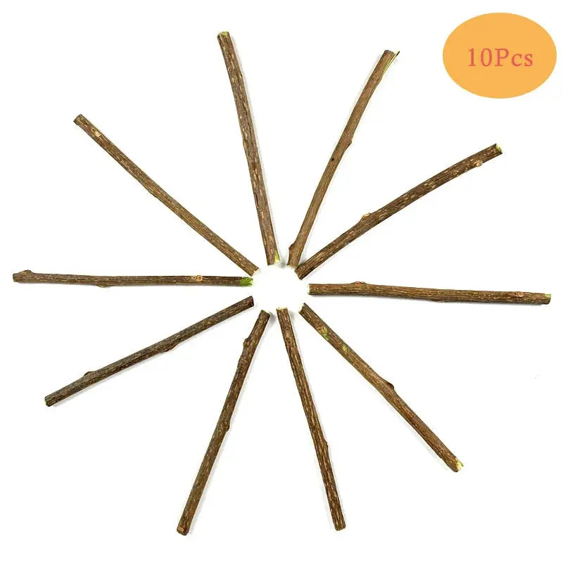 10/15/20pcs/lot Natural Matatabi Pet Cat Snacks Sticks Cleaning Tooth Catnip Cat Toys Actinidia Silvervine Pet Toy For Cats - Eloy Royal