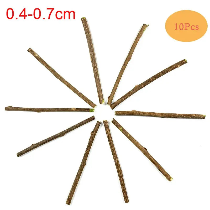 10/15/20pcs/lot Natural Matatabi Pet Cat Snacks Sticks Cleaning Tooth Catnip Cat Toys Actinidia Silvervine Pet Toy For Cats - Eloy Royal