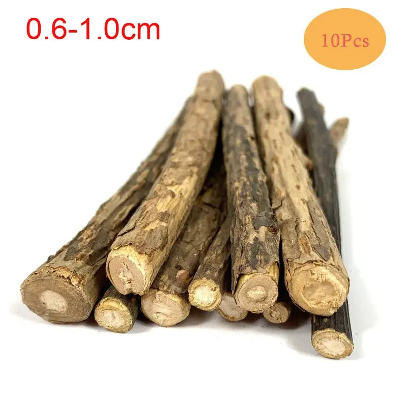 10/15/20pcs/lot Natural Matatabi Pet Cat Snacks Sticks Cleaning Tooth Catnip Cat Toys Actinidia Silvervine Pet Toy For Cats - Eloy Royal