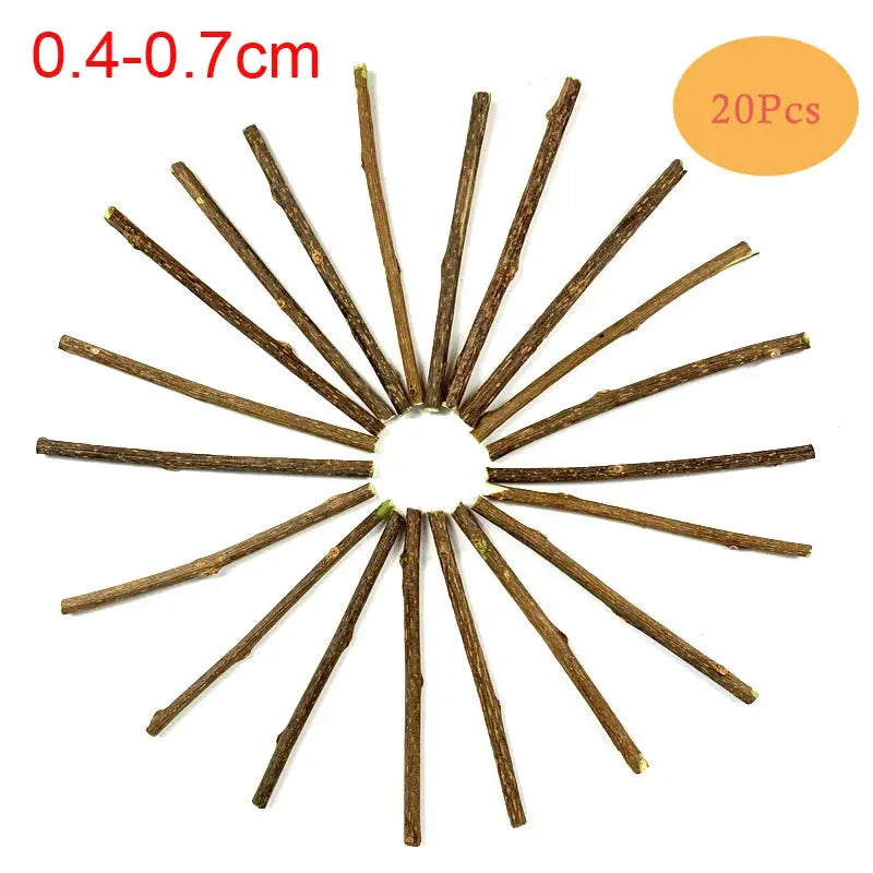 10/15/20pcs/lot Natural Matatabi Pet Cat Snacks Sticks Cleaning Tooth Catnip Cat Toys Actinidia Silvervine Pet Toy For Cats - Eloy Royal