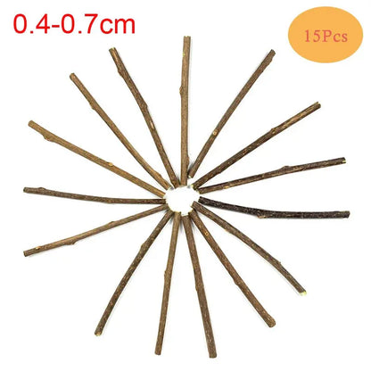 10/15/20pcs/lot Natural Matatabi Pet Cat Snacks Sticks Cleaning Tooth Catnip Cat Toys Actinidia Silvervine Pet Toy For Cats - Eloy Royal