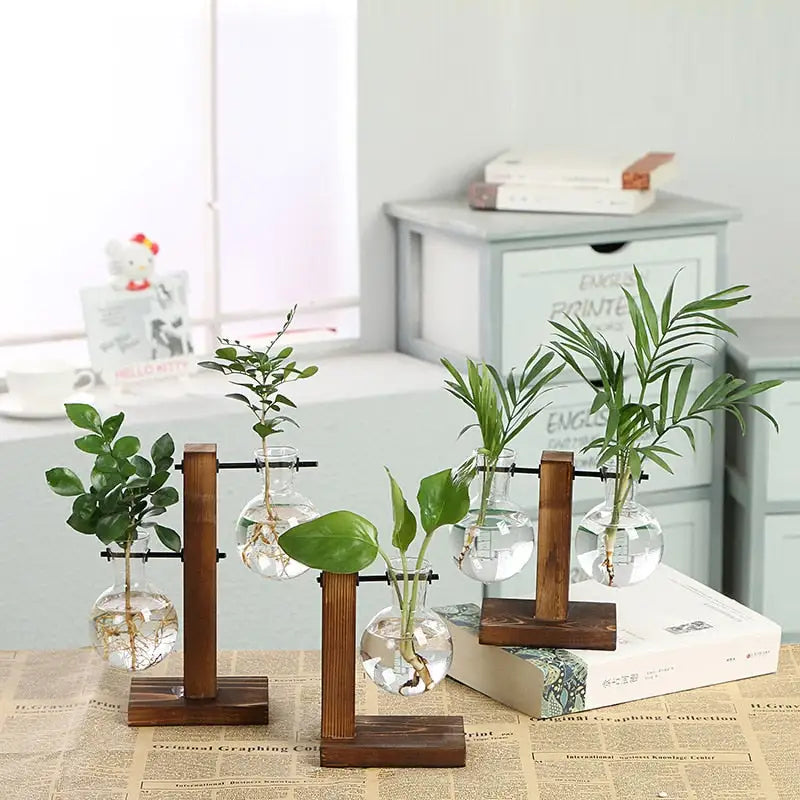 Transparent Plant Vases - Eloy Royal