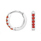 TDEBA Birthstone Hoop Earrings for Women Silver 14k Plated Gold Mini Hoop Earrings Cubic Zirconia Huggie Hoop Earrings Cartilage Piercing Earrings Birthday Jewelry 01 JAN. Garnet - Silver 8mm