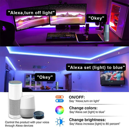 Room Smart Wifi Led Tape Light - Eloy Royal