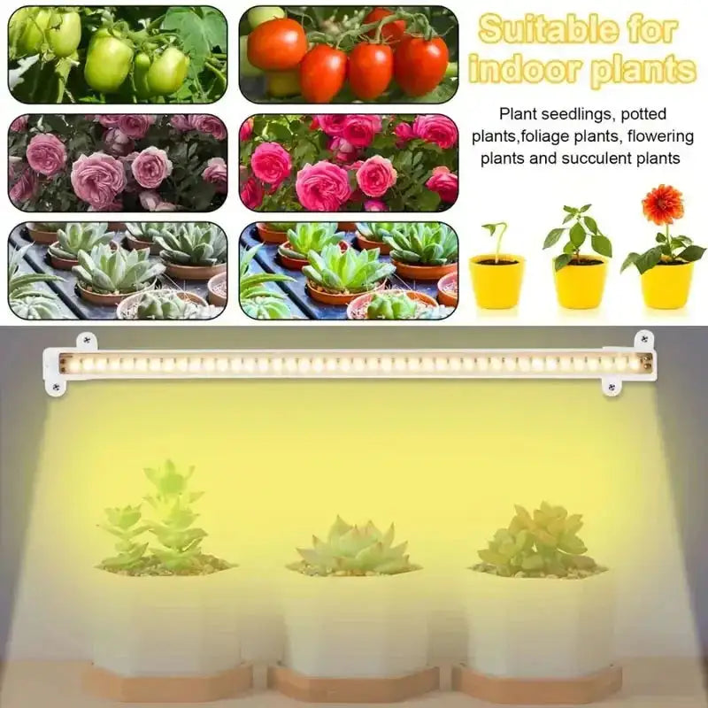 Led Grow Light For Plants - Eloy Royal