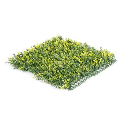 Yellow Buxus Green Wall 33 square foot UV Protected