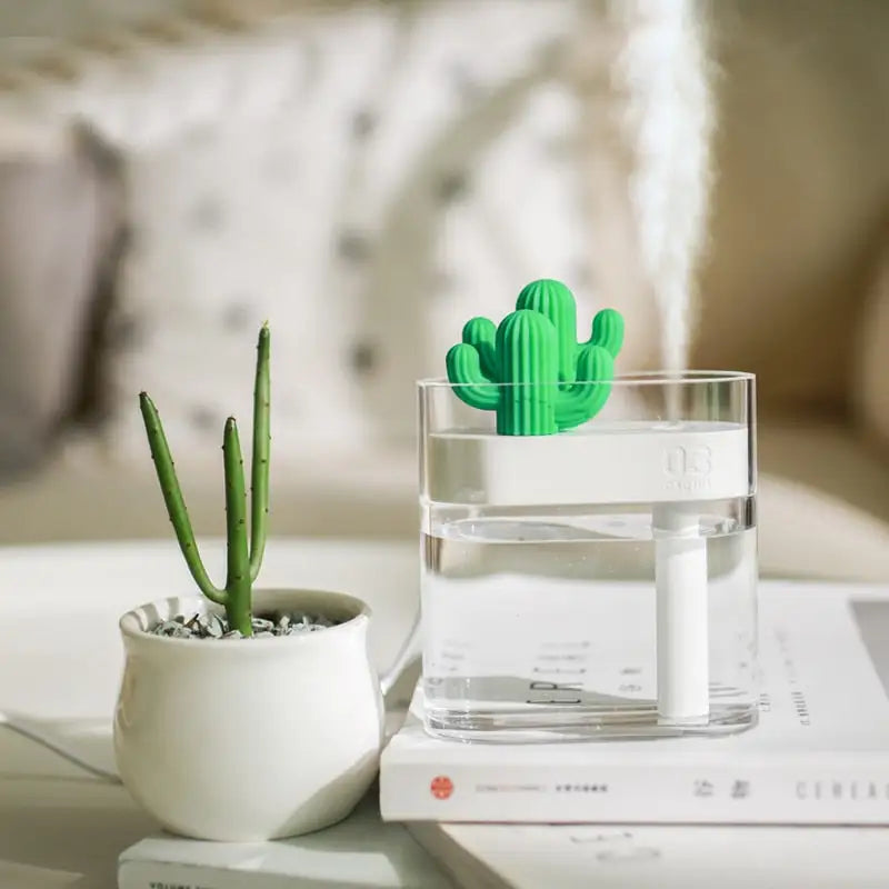 Clear Cactus Humidifier - Eloy Royal