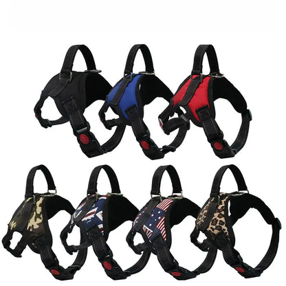 Pet Walking Harness: Adjustable Comfort - Eloy Royal