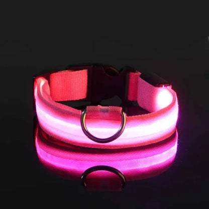 Flashing Glow Dog Collar - Eloy Royal