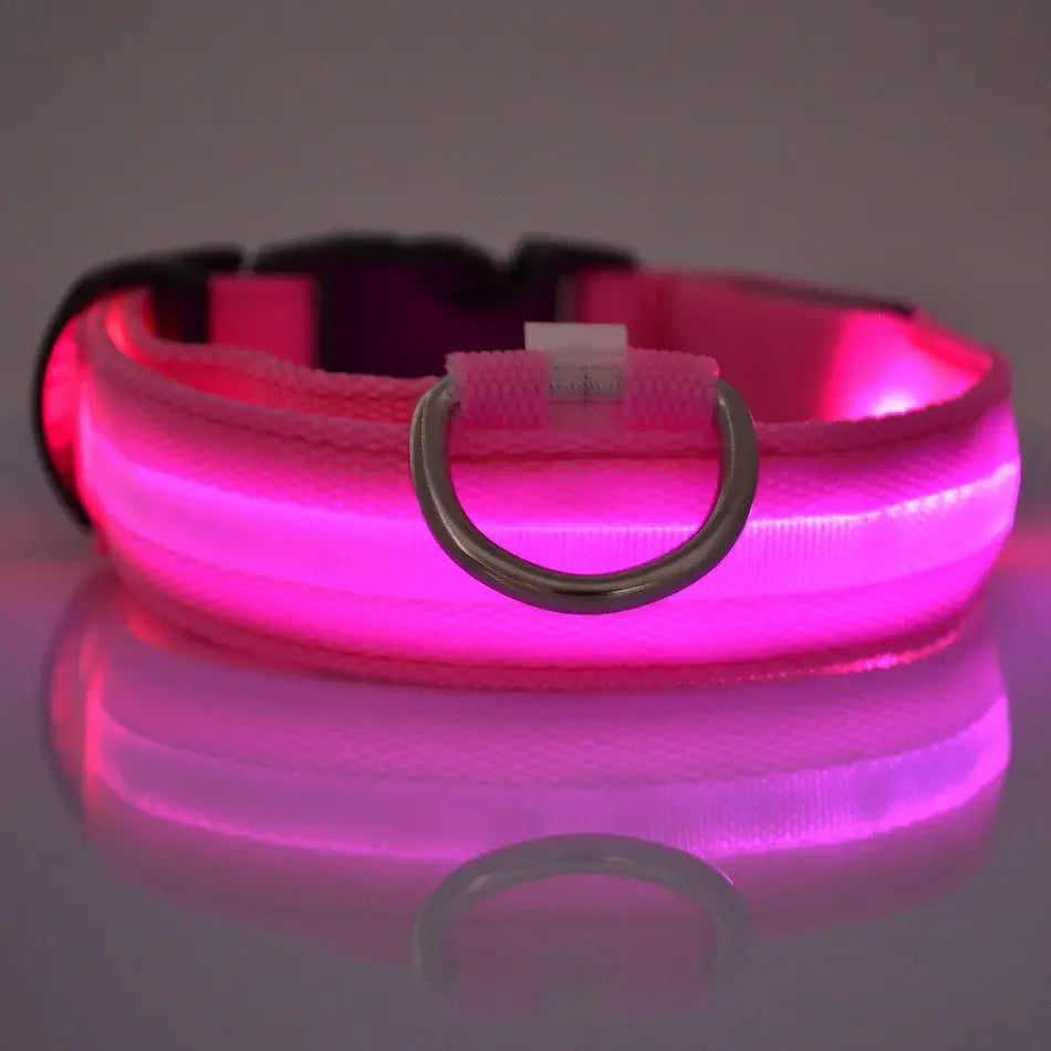 Flashing Glow Dog Collar - Eloy Royal