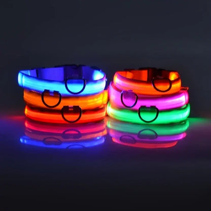 Flashing Glow Dog Collar - Eloy Royal