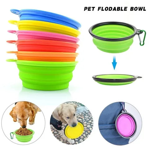 Pet Folding Silicone Bowl - Eloy Royal