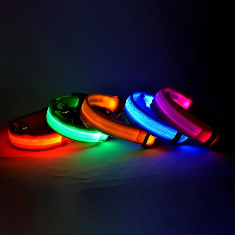 Flashing Glow Dog Collar - Eloy Royal