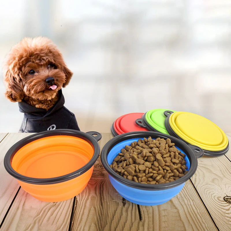 Pet Folding Silicone Bowl - Eloy Royal